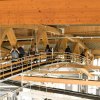 20180907_0392_Hamar_Olympiaeishalle_KLF