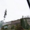 20180907_0576_Norwegen_Waldbewirtschaftung_KLF